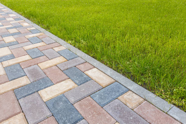 Best Driveway Paving Contractor  in Muldraugh, KY
